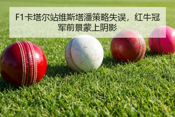 F1卡塔尔站维斯塔潘策略失误，红牛冠军前景蒙上阴影